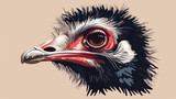 Wild ostrich australian bird head style vector