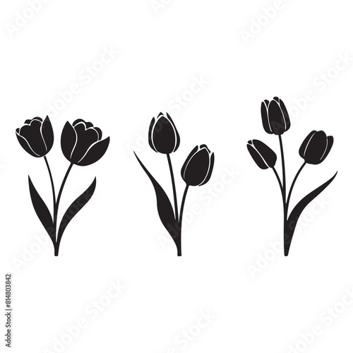 Tulip silhouettes vector 