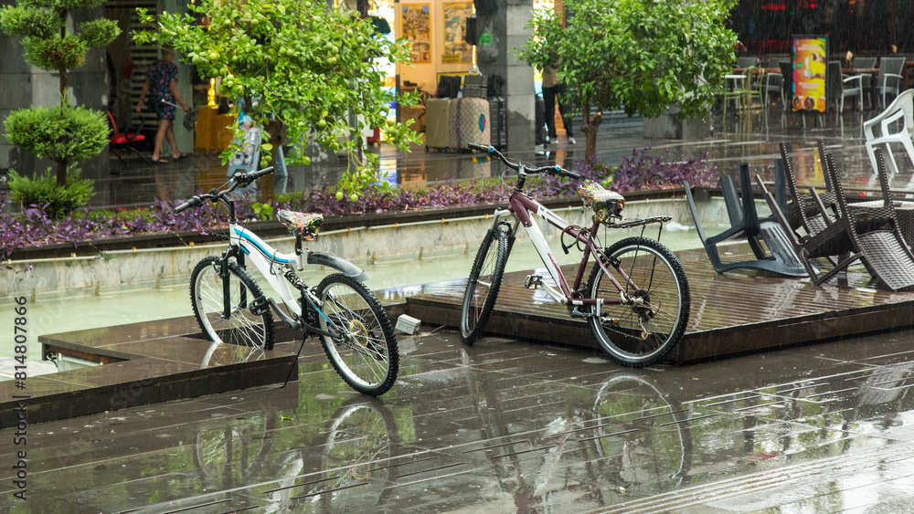 Fototapeta premium Bicycles stand in the summer rain on a city street.