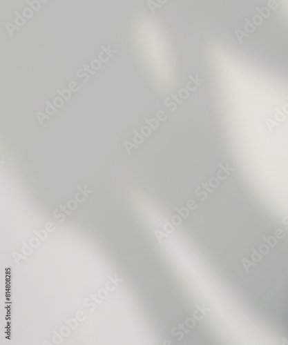 white background with plant shadow. copy space