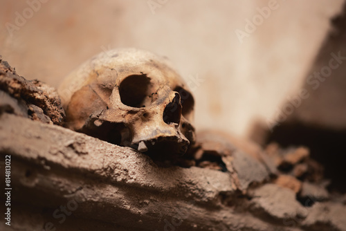 Ancient skull uncovered in catacomb depths photo