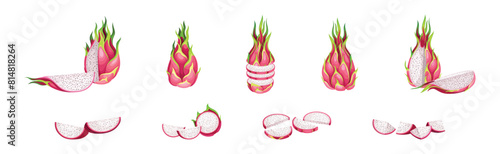 Pitaya or Pitahaya Fruit of Cactus Species with White Flesh and Black, Crunchy Seed Vector Set