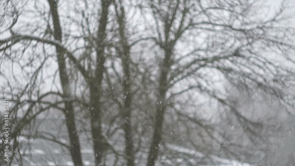 snow outside the window. snow covered trees. fog in the city. snowing day snow outside the window. snow covered trees. fog in the city. snowing day