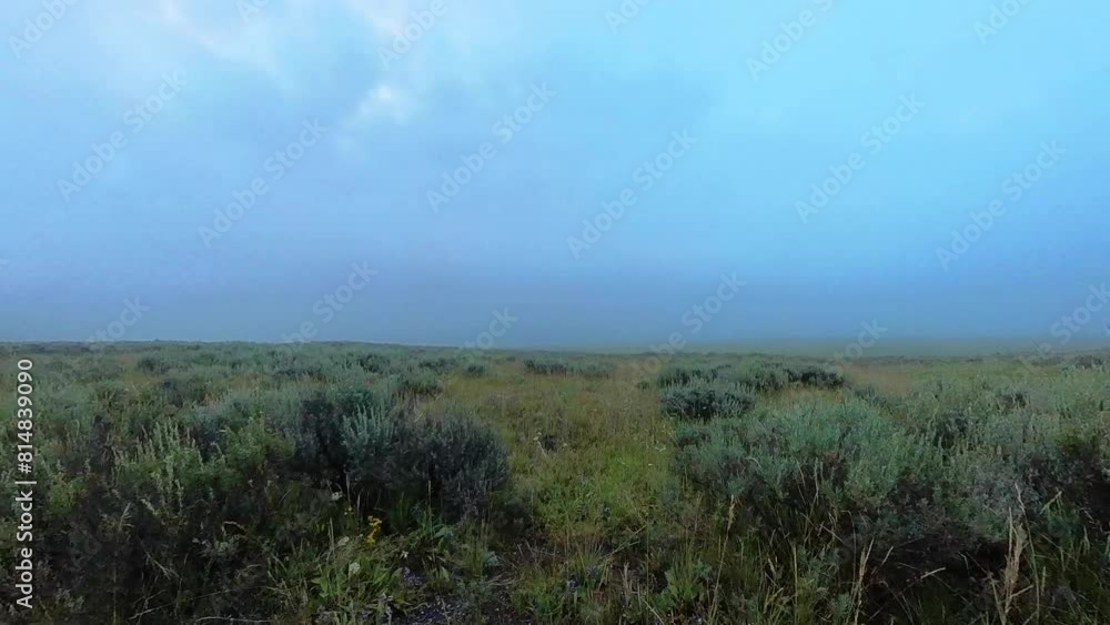 Foggy Dawn in Hayden Valley in Yellowstone National Park Foggy Dawn in Hayden Valley in Yellowstone National Park