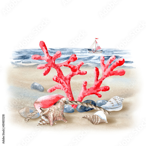 Sea Coast with Seashells and Coral, Hand drawnd illustration photo