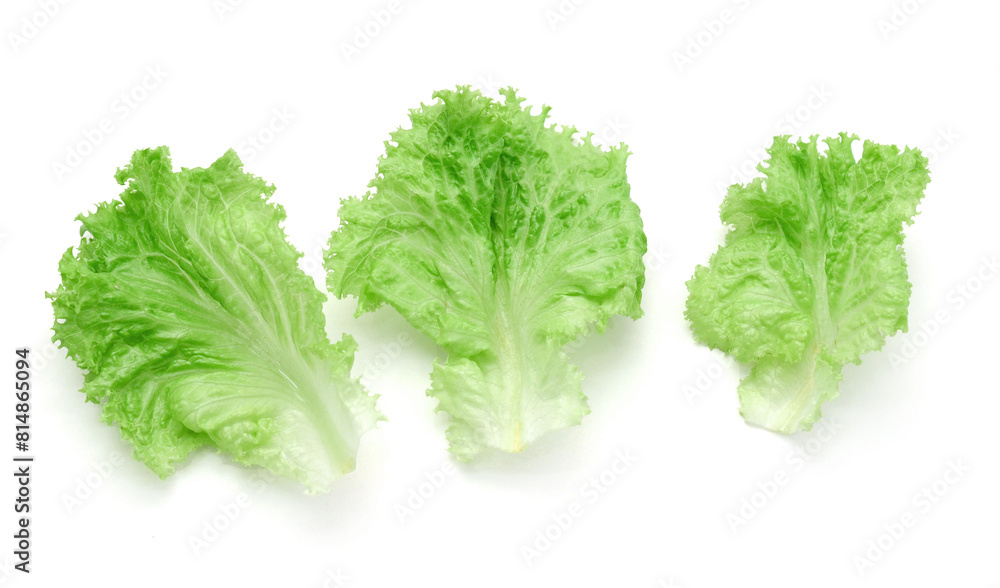 Fresh lettuce on white background
Fresh lettuce on white background