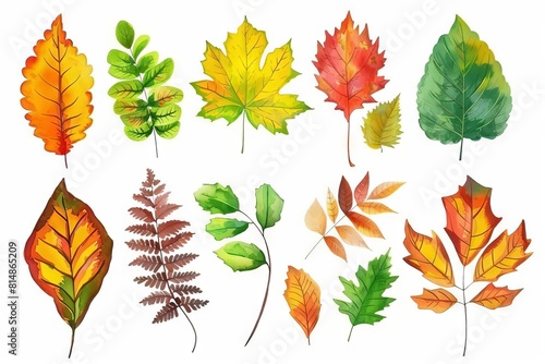 colorful autumn leaves isolated on white background seasonal foliage illustration