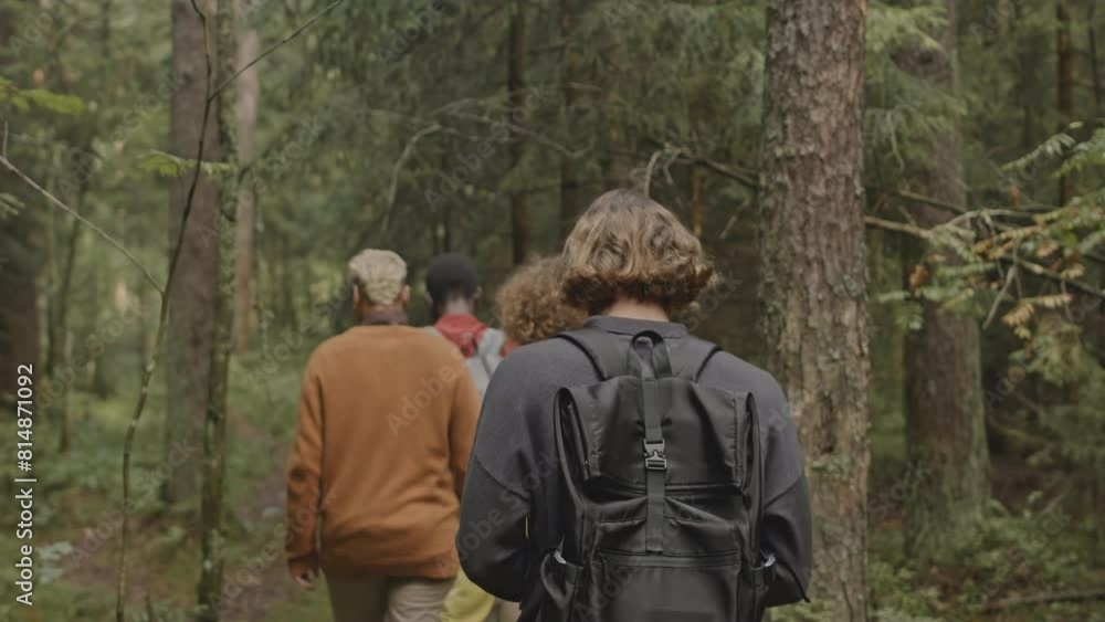 Back view of company of friends with backpacks walking together through forest during hiking trip Back view of company of friends with backpacks walking together through forest during hiking trip