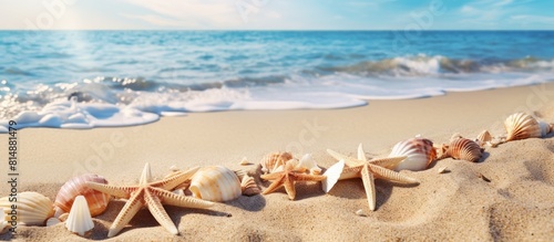 An image capturing a beach scene with seashells and starfish arranged on the sand Reflects travel and vacation themes and includes copy space for writing or advertising