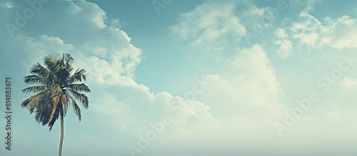 Background image featuring a cloudy sky and a palm tree with blank space for design elements or text. Copyspace image