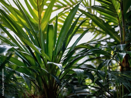 Botanical Beauty  Close-Up of Green Foliage and Palms  Nature s Canvas.