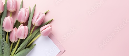 Pale pink tulips in spring arranged near an envelope on a pastel pink background The view is from the top and there is space for an image or text. Copyspace image