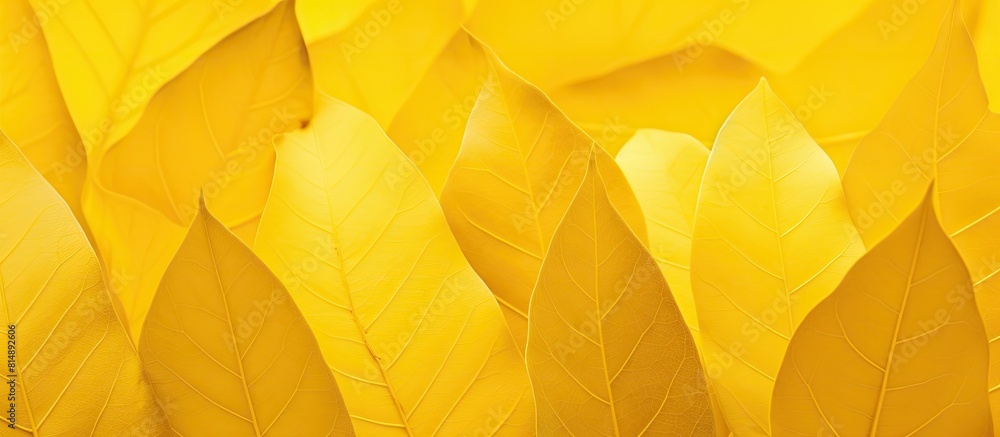 Fototapeta premium Copy space image of a yellow leaf background perfect for posters or writing backgrounds