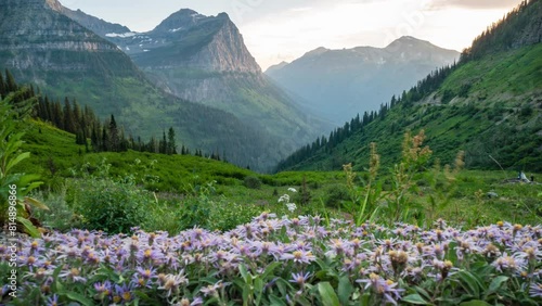 Glacier Flowers And Sunset from Going to the Sun Road