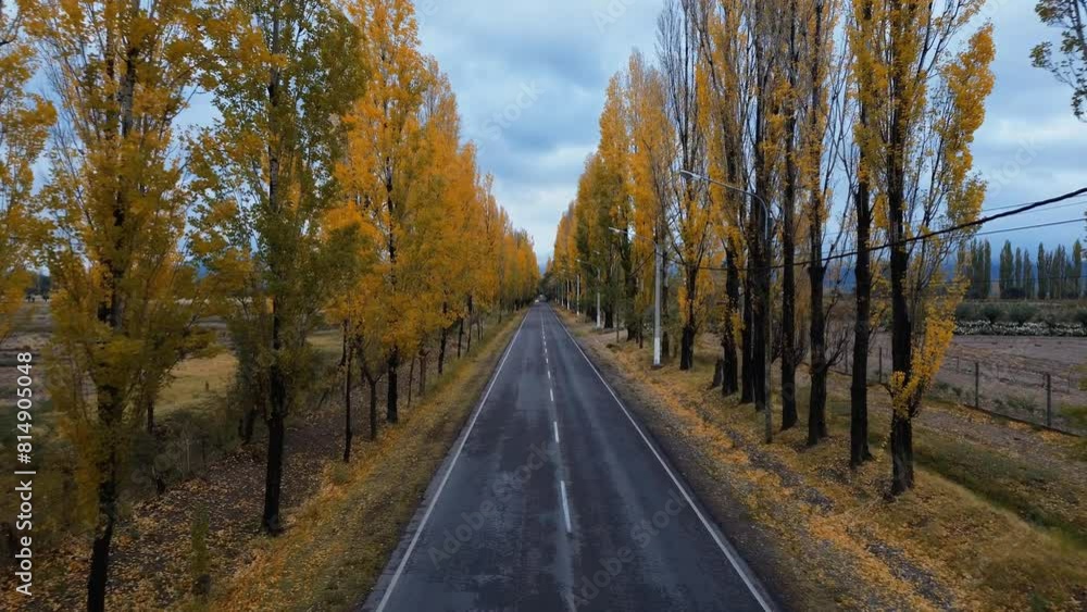 Straight road in autumn in Mendoza, Argentina. Aerial view, forward motion. Straight road in autumn in Mendoza, Argentina. Aerial view, forward motion.