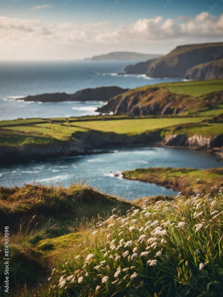 Charming Illustration Depicting Ireland's Coastal Countryside and its Stunning Seascape