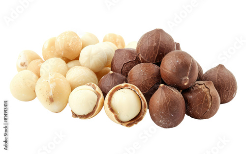 Shelled and Unshelled on White, Macadamia Nuts, Shelled vs Unshelled photo