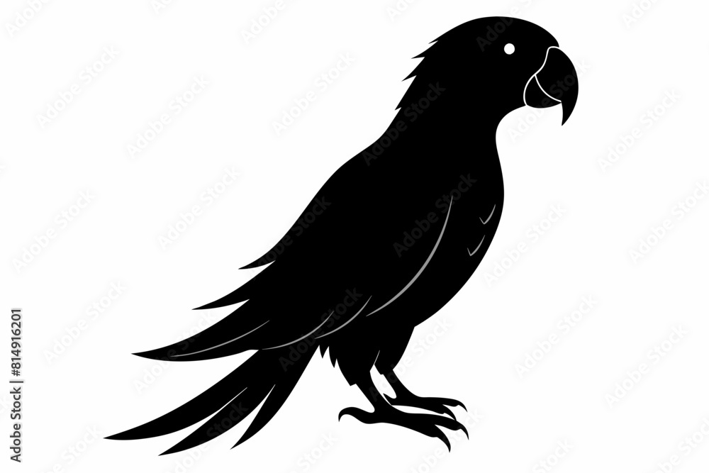 Obraz premium A parrot silhouette black vector artwork illustration 