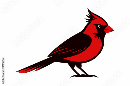 A cardinal bird silhouette black vector artwork illustration 