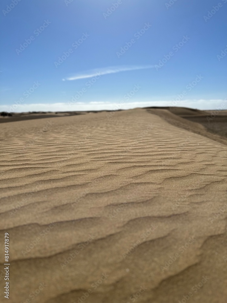 Naklejka premium Dunes of Maspalomas, Gran Canaria