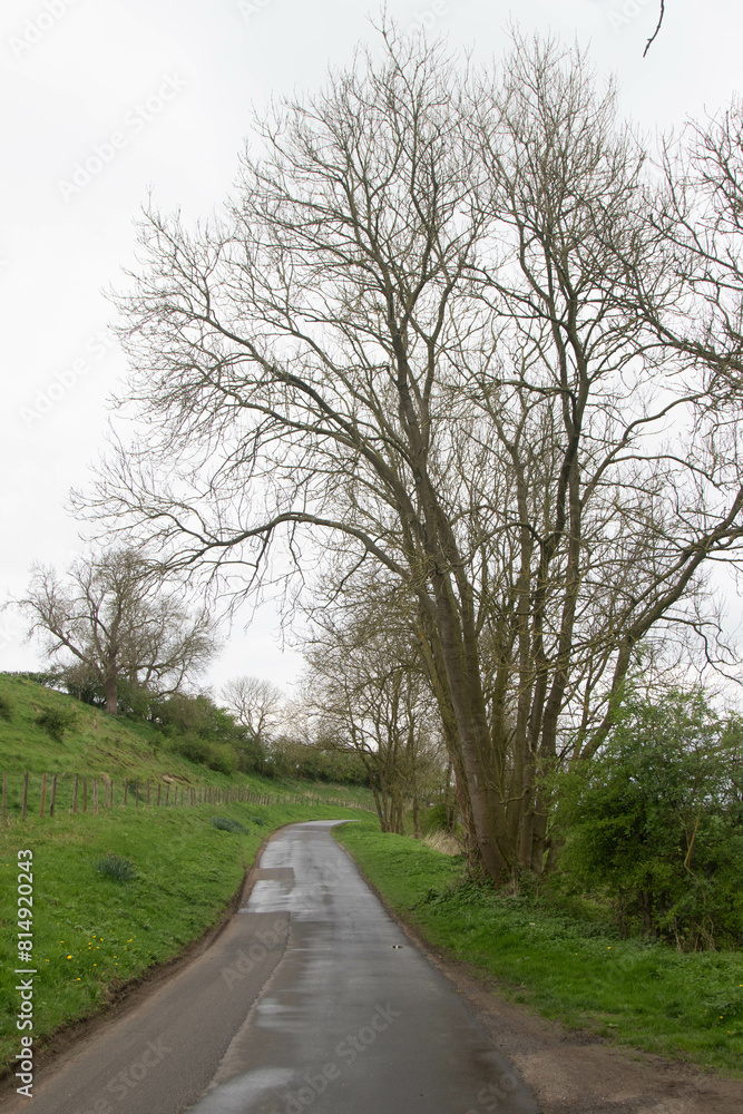 Fototapeta premium A rural Road in Yorkshire