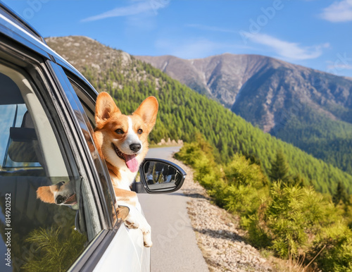 Corgi Dog Looks out of a White Car on a Mountain Road. AI Generated