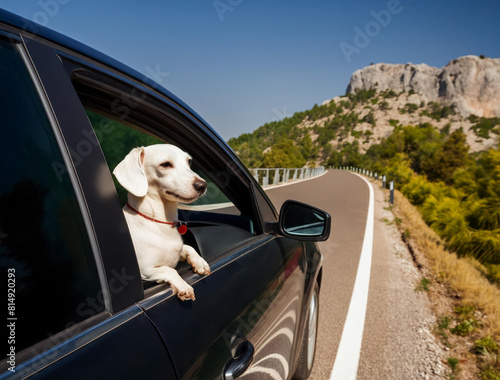 Dachshund Dog Looks out of a Black Car on a Mountain Road. AI Generated