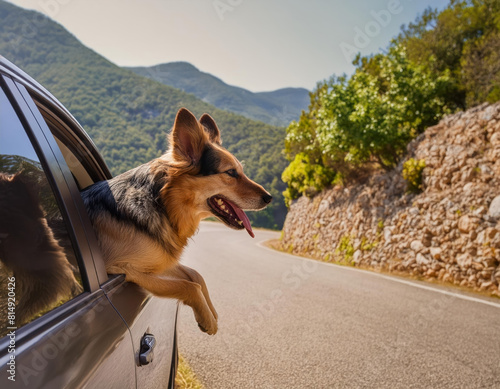 German Shepherd Leaning out of a Car Window on a Mountain Road. AI Generated