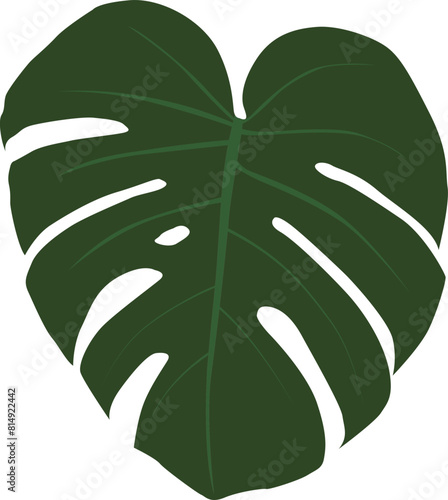 leaf