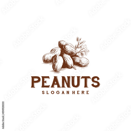 Retro peanut logo vector illustration