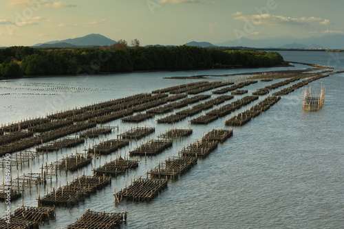 Beautiful Chanthaburi River estuary with many floating platforms for fish and oyster farming. 
Scenic view from Taksin Maharat Bridge (Laem Sing Bridge),
Chanthaburi province , Thailand photo