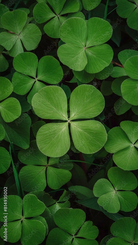 symbol of good luck symbol of good luck