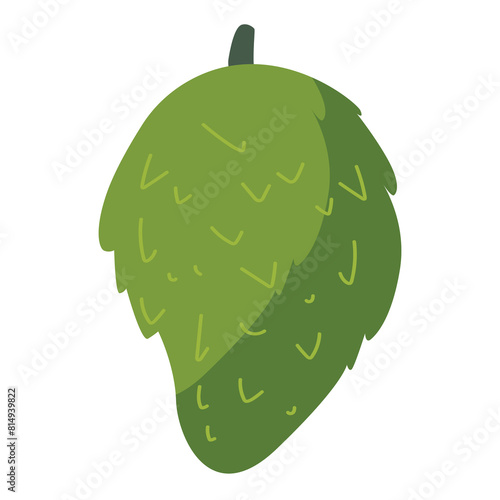 Vector soursop fruit vector illustration, buah sirsak or sirsat image, cartoon graviola or guanabana fruit isolated on white background, guyabano or annona muricata