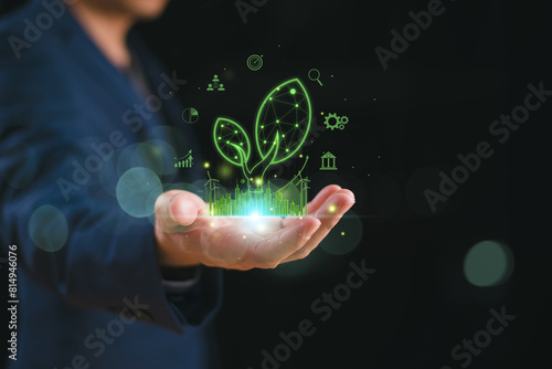 Eco business investment concept. Green business growth icon. Businessman holding tree growing on hand. Finance sustainable development. Increase of renewable energy. Seedling growing on arrow market