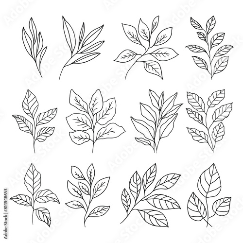 Set of branch and leaves vector