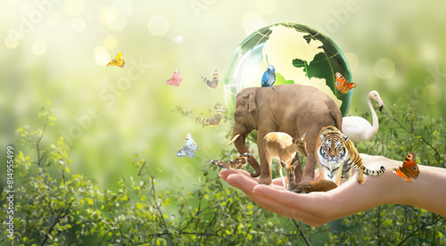 International day for biodiversity or World Wildlife Day concept. Save planet, protect nature and endangered species, biological diversity. Wild animals, Earth globe and flock of butterflies in hand.
