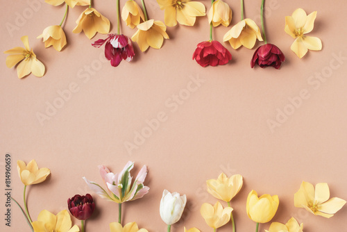 Beautiful aesthetic tulip flowers on neutral beige background top view. Floral creative art layout.