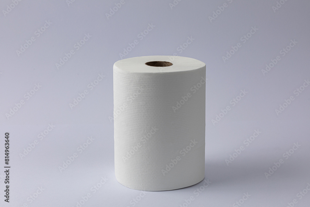 Toilet paper roll on grey white background. Toilet paper roll on grey white background.