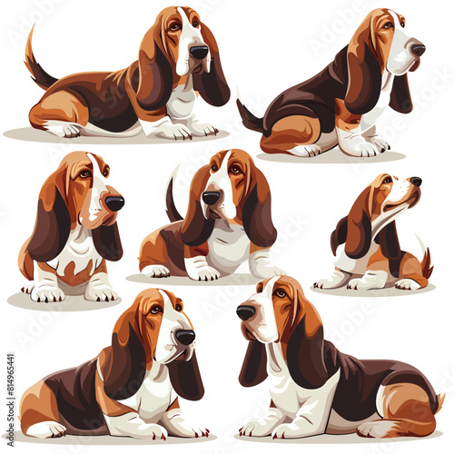 Basset Hound Dog - Isolated Vector Illustration on White Background