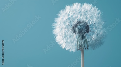  A dandelion drifts in the wind against a backdrop of a blue sky