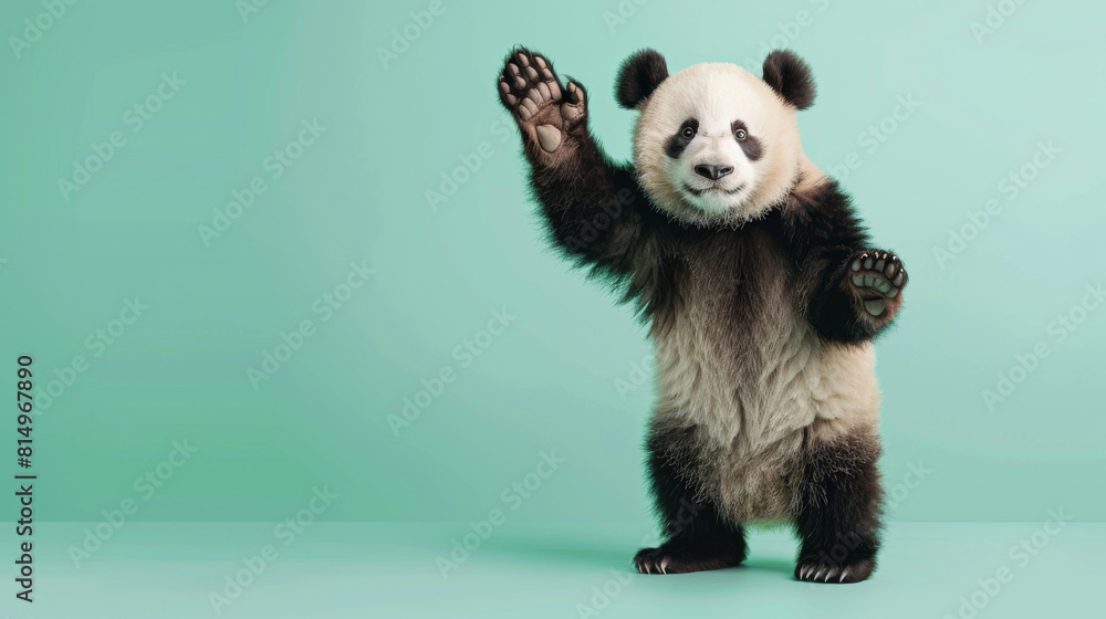 Cute panda standing and waving on mint green background, studio ...