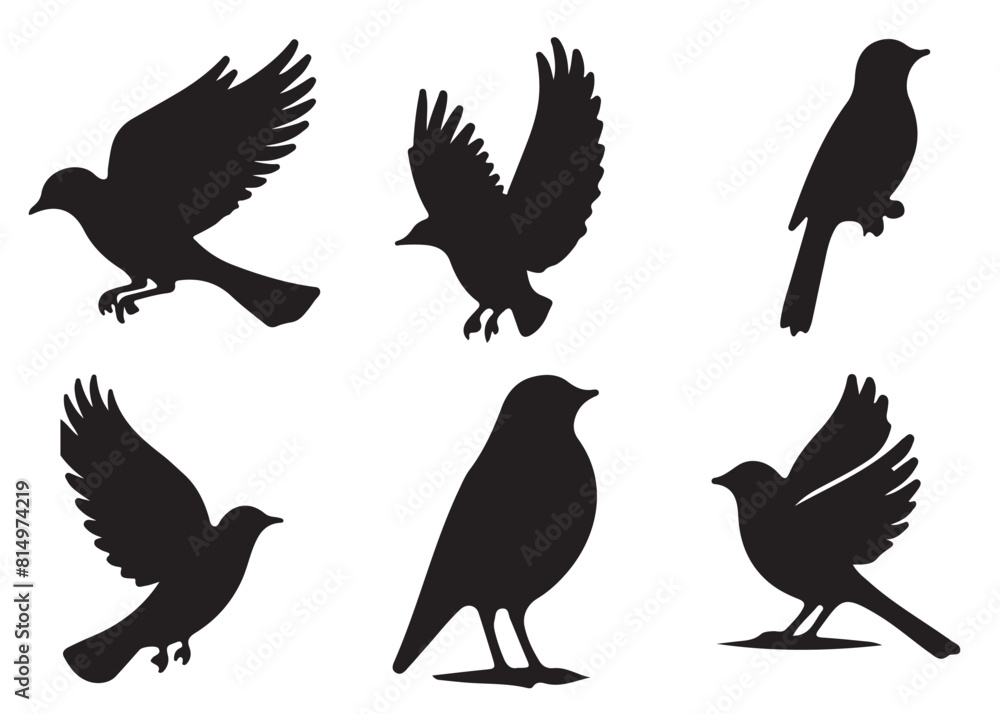Fototapeta premium Set of bird silhouettes, Black bird vector art