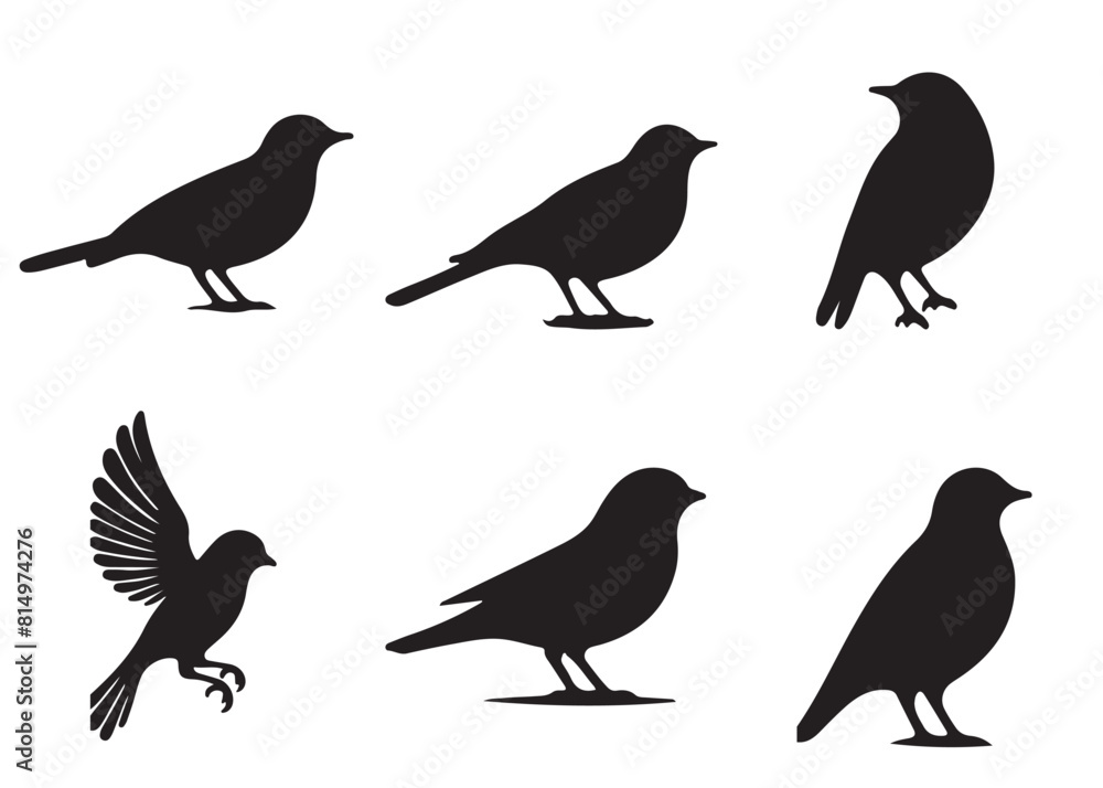Fototapeta premium Set of bird silhouettes, Black bird vector art