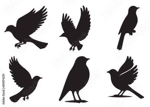 Set of bird silhouettes  Black bird vector art