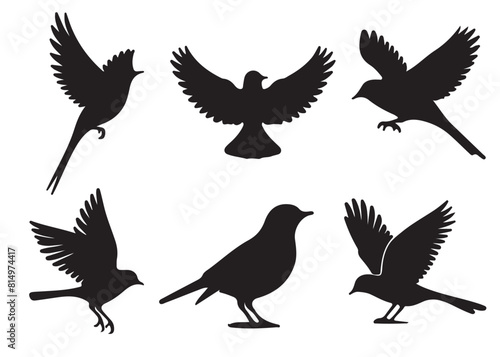 Set of bird silhouettes  Black bird vector art