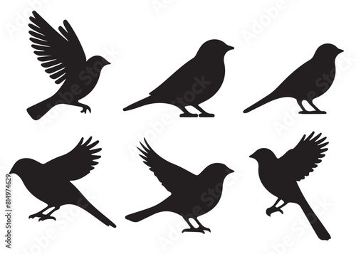 Set of bird silhouettes  Black bird vector art