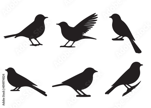 Set of bird silhouettes  Black bird vector art