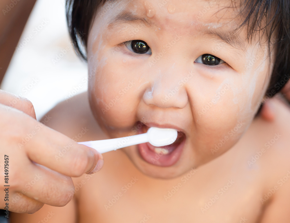 custom made wallpaper toronto digitalGirl practicing brushing her teeth,A child aged of one year old. Healthy and kid concept.