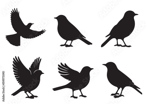 Set of bird silhouettes  Black bird vector art