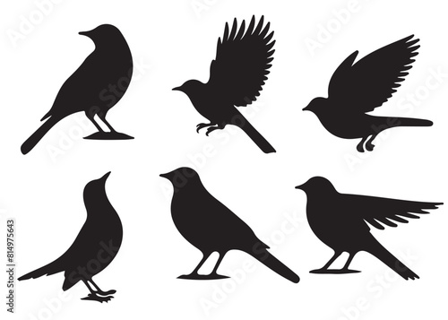 Set of bird silhouettes  Black bird vector art